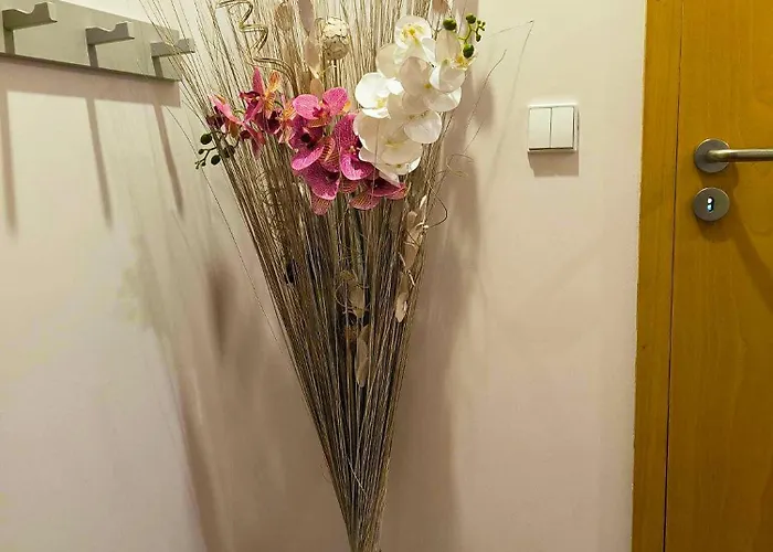 Em Do Conde 阿祖拉拉